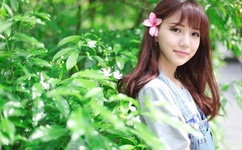 战斗陀螺第一部